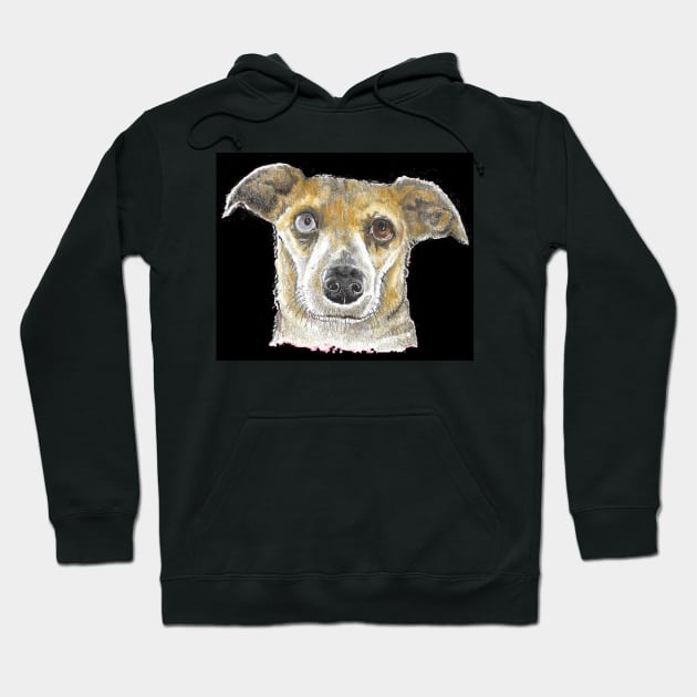 Eyes of a different color pup Hoodie by Dr. Mary